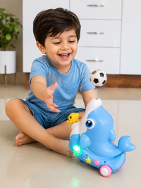 Dolphin Concert Bump and Go Toy with Ball Balancing, Music, and LED Lights